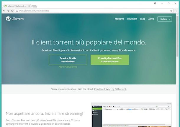Guida uTorrent: download uTorrent e configurare uTorrent