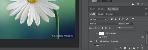 Ridurre opacità della firma in Photoshop