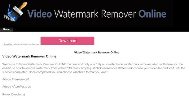 Video Watermark Remover Online