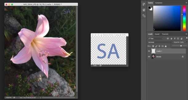 Come firmare le foto digitali