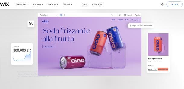 Programmi per siti Web