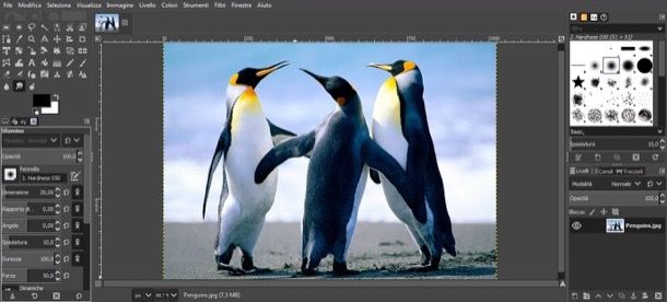 Programmi per migliorare le foto
