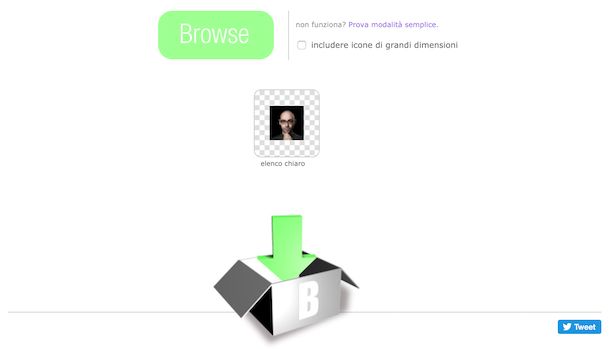 Bradicon