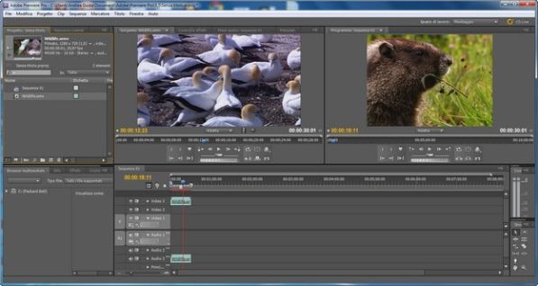 adobe-premiere.jpg