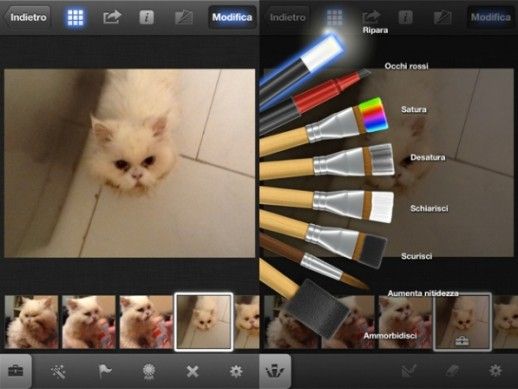 iphoto.jpg