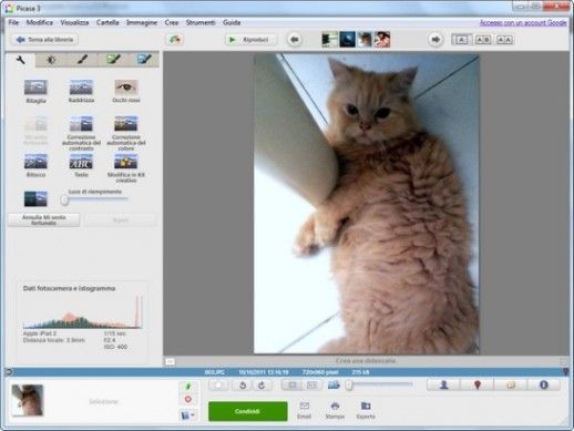 picasa.jpg
