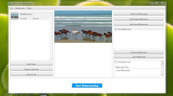 Programmi per watermark