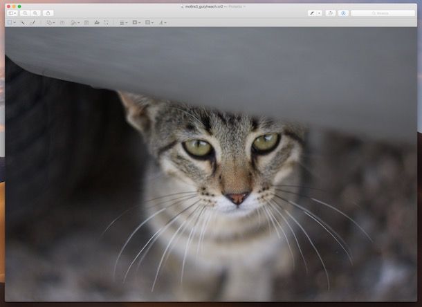 Programmi per gestire file RAW
