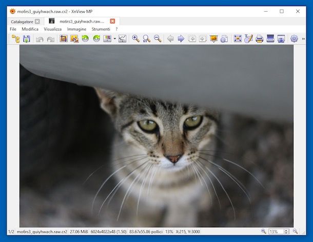 Programmi per gestire file RAW