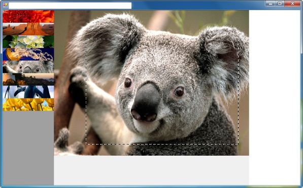 1picturecutter.jpg