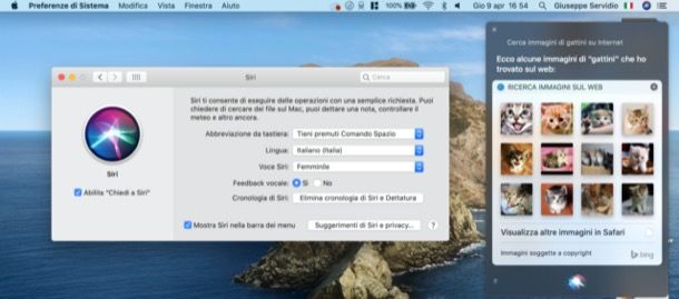Siri su Mac