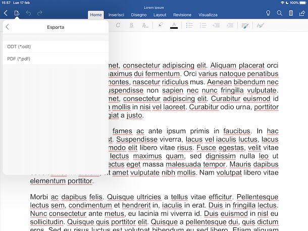 Word iPadOS