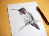 Come animare un disegno con Photoshop