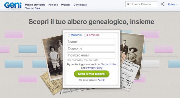 Albero genealogico