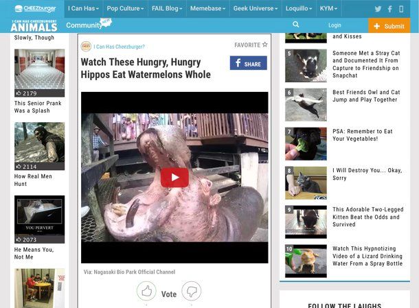 YouTube video divertenti