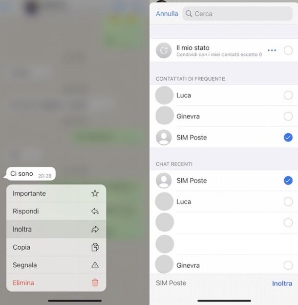 Applicazioni per social e comunicazione WhatsApp iPhone