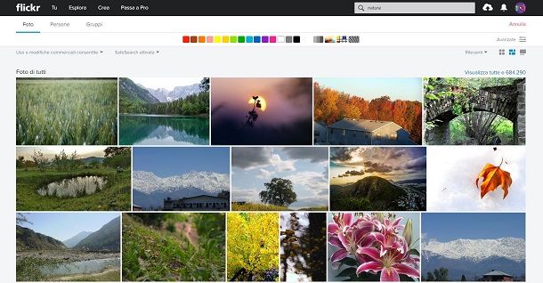 Scaricare immagini gratis da Flickr