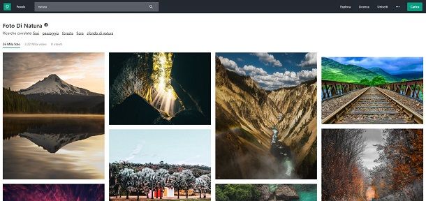Scaricare immagini gratis da Pexels