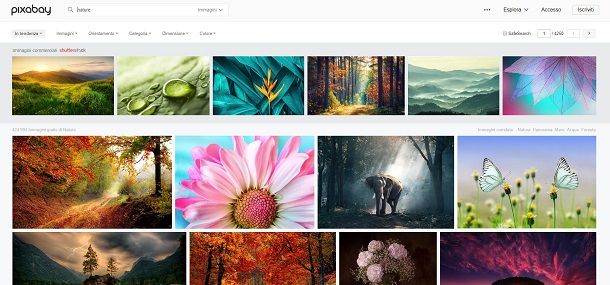 Scaricare immagini gratis da Pixabay