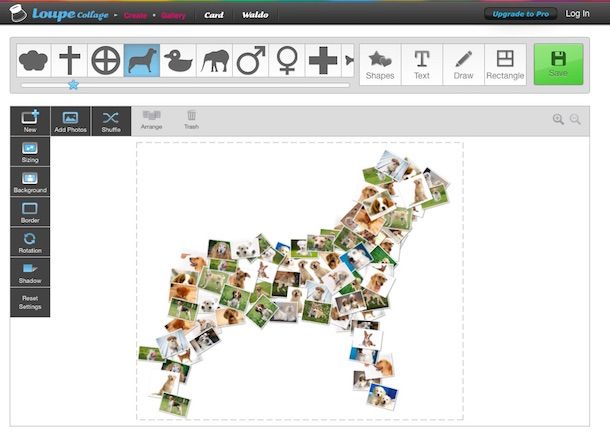 Screenshot del servizio online Loupe Collage