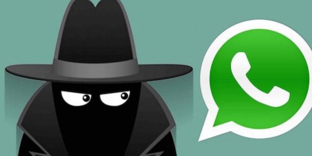 Usare WhatsApp in anonimo