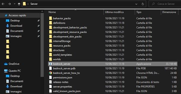 Cartella server Bedrock Minecraft