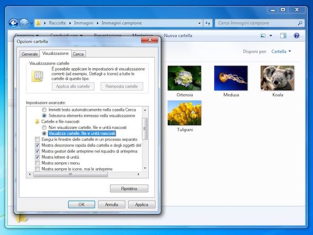Screenshot che mostra come visualizzare cartelle nascoste Windows 7