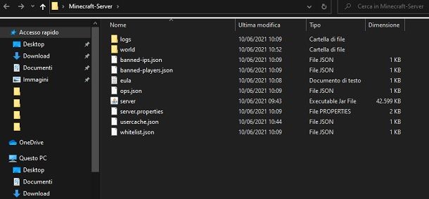 Cartella server Java Minecraft