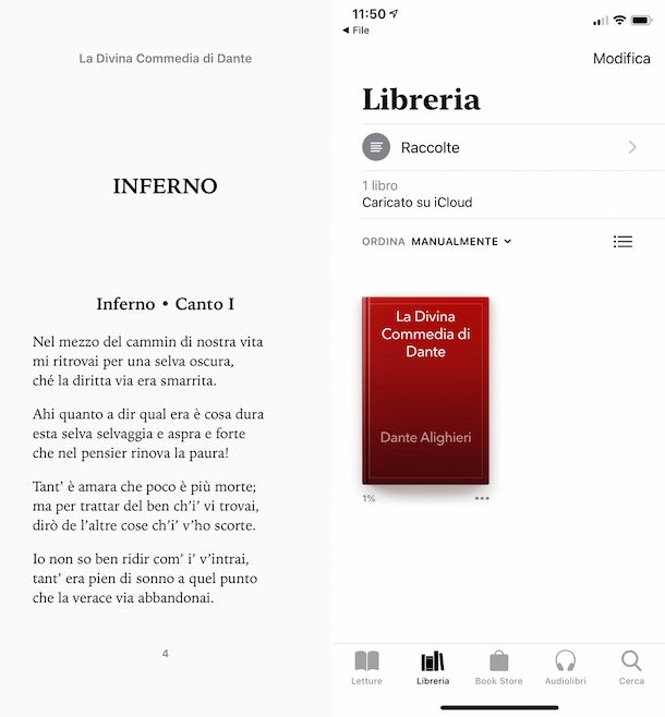 Libri iPhone