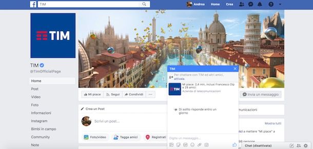 Facebook TIM