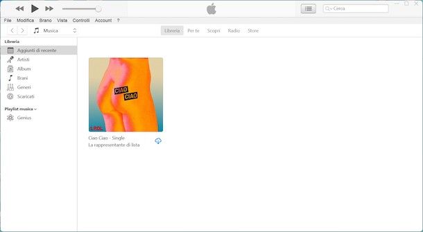 Usare iTunes Windows