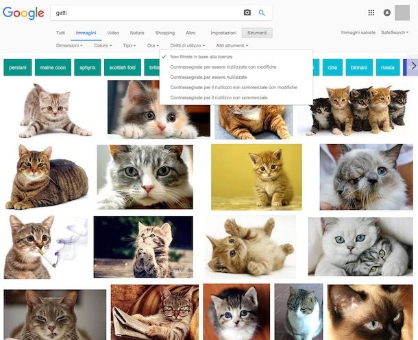 Come scaricare immagini da Google