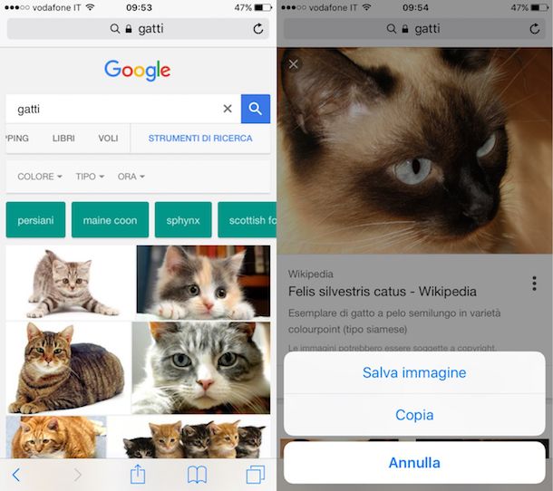 Salvare immagini da Google