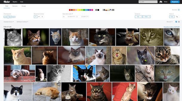 Screenshot di Flickr