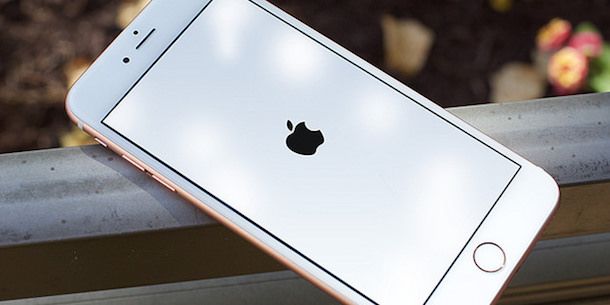 iPhone 6