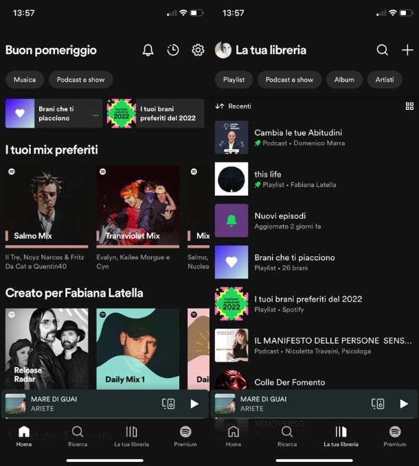 Interfaccia Spotify dispositivi mobili