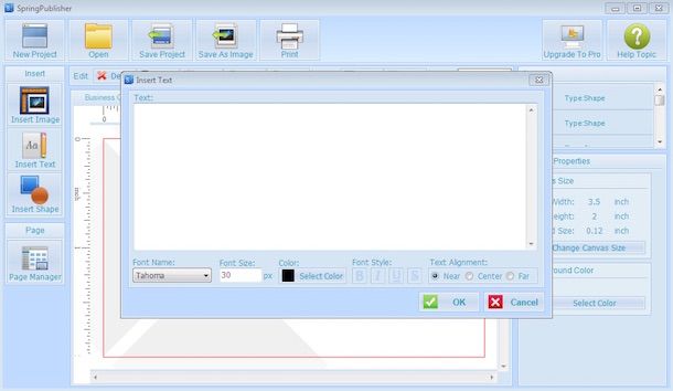 Screenshot di Spring Publisher