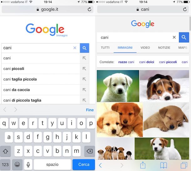 Cose Che Ti Pentirai Di Aver Cercato Su Google