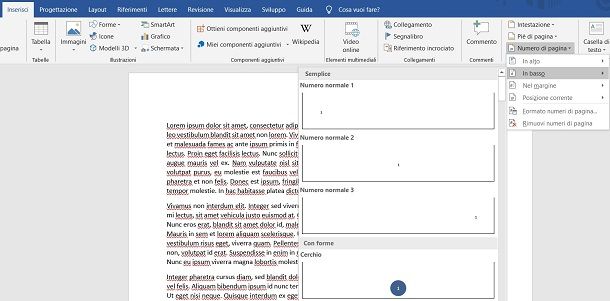 Numerare le pagine in Word per Windows