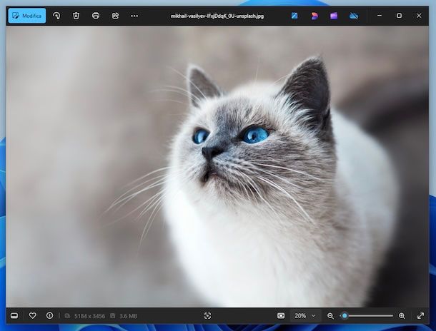 Foto Windows 11