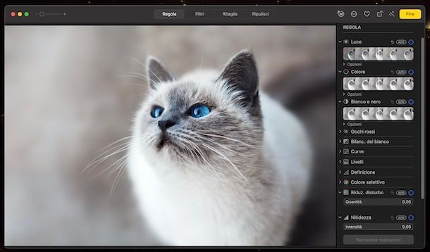 Foto macOS