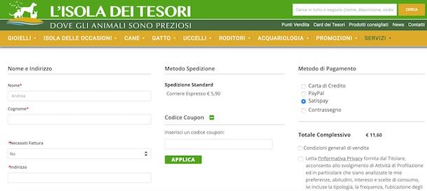 Come acquistare su Internet con Postepay