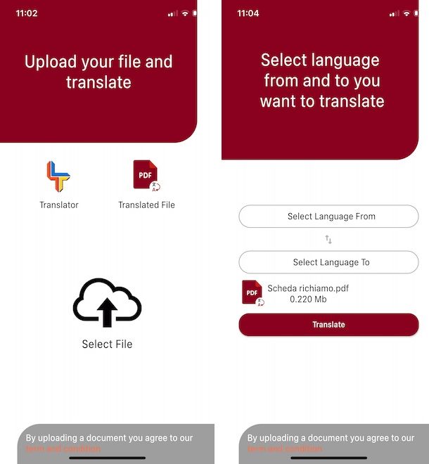 PDF Document Translator