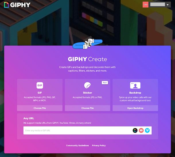 GIPHY