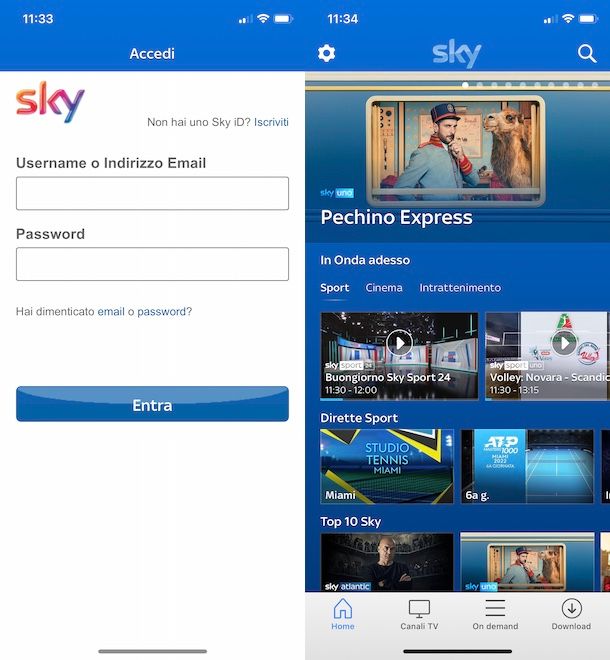 Sky Go