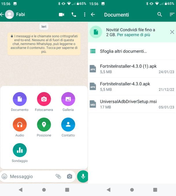 Messaggi WhatsApp con documenti