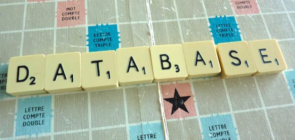 Programmi per database