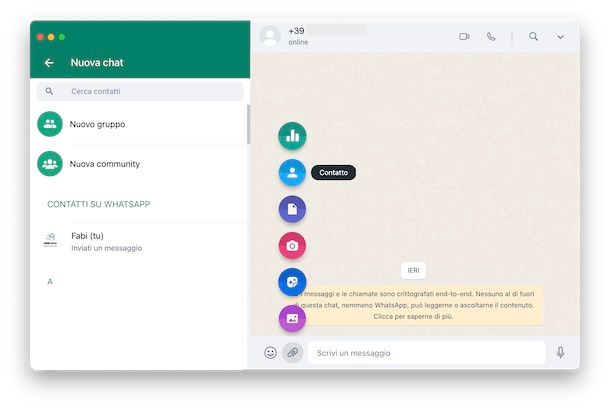 Messaggio WhatsApp contatto PC