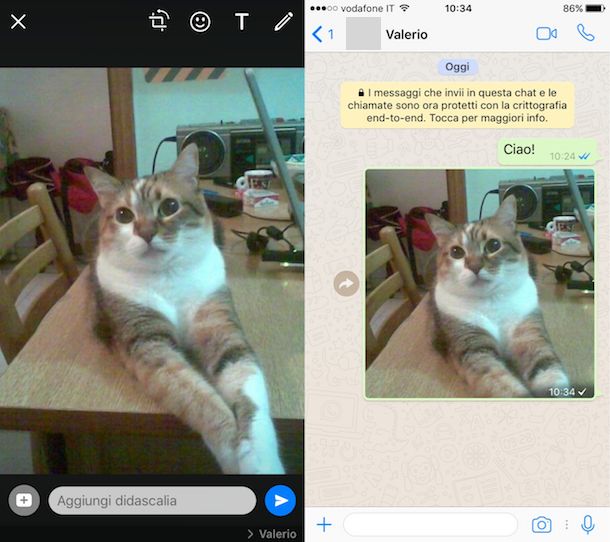 Come inviare messaggi WhatsApp