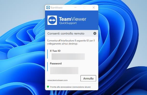 TeamViewer — Download QS